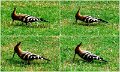 104-14 (1)